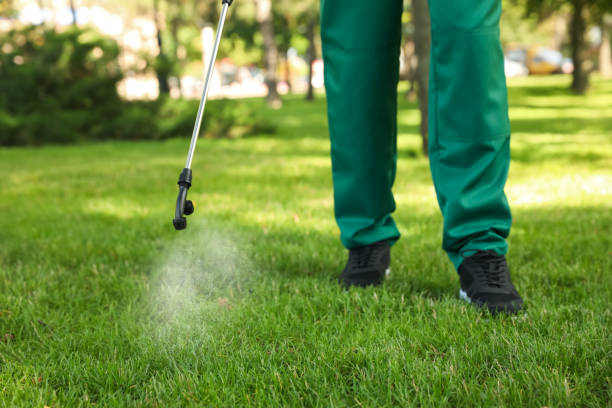 Best Exterminator Services  in Big Sandy, TX