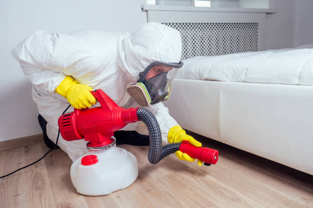 Insect Control in Big Sandy, TX