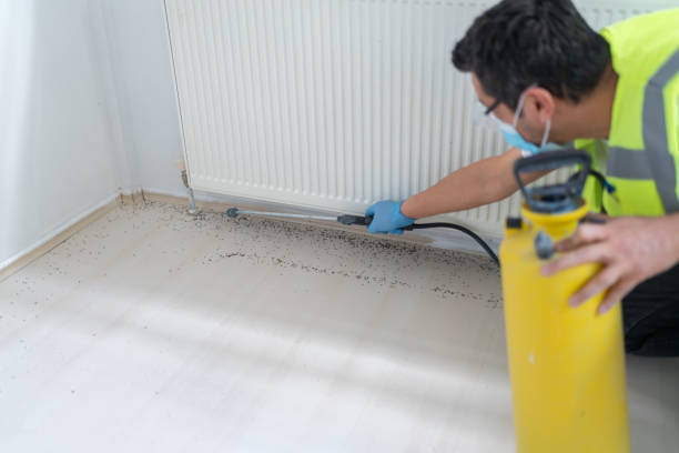 Best Pest Control Treatment  in Big Sandy, TX