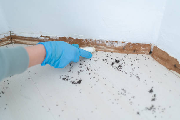 Pest Control for Restaurants in Big Sandy, TX