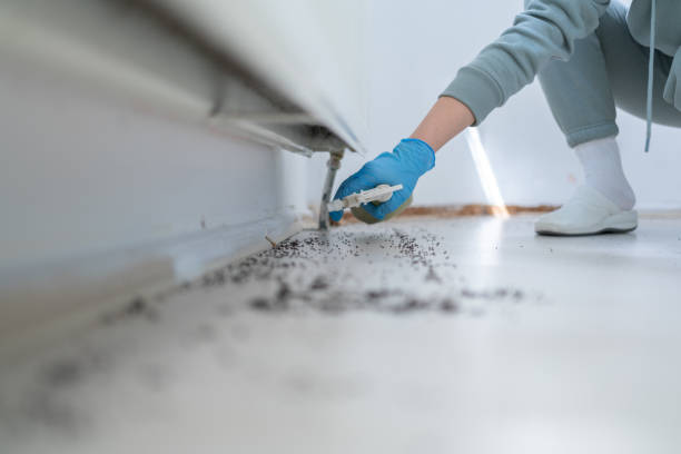 Best Commercial Pest Control Services  in Big Sandy, TX